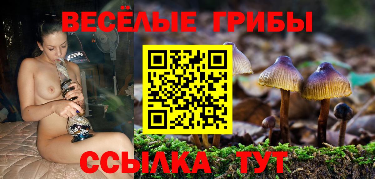 Галлюциногенные грибы мицелий Алексин